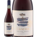 ガンマ・オーガニック・ピノ・ノワール・レセルバ (ベサ)　Gamma Organic Pinot Noir Reserva (V.E.S.A)　チリ セントラル ヴァレー ビオビオ ヴァレーDO ミディアムボディ 赤 750ml 