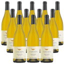 12本セット ヤルデン シャルドネ 2021 (ゴラン ハイツ ワイナリー) Yarden Chardonnay (Golan Heights Winery) イスラエル ガリラヤ ゴラン高原 白 辛口 750ml