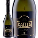 カリア・ブリュット・ナチュール (ボデガス・カリア) Callia Brut Nature (Bodegas Callia) 【ヴィーガン vegan認証】 アルゼンチン サン・ファン トゥルン・ヴァレー 白 辛口 泡 スパークリング 750ml