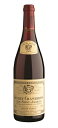 ジュヴレ・シャンベルタン プルミエ・クリュ クロ・サン・ジャック [2009] (ルイ・ジャド)　Gevrey Chambertin 1er cru Clos Saint Jacques [2009] (Louis Jadot)　/赤/