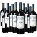 [12本セット] アンデルーナ マルベック アルティトゥ (アンデルーナ・セラーズ)　Andeluna Malbec Altitud (Andeluna Cellars)　アルゼンチン メンドーサ 赤 フルボディ 750ml