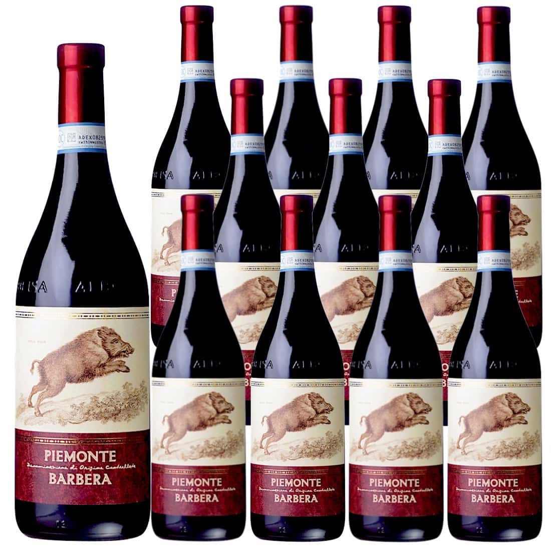 楽天Donguriano　Wine[12本セット] ピエモンテ・バルベーラ （テッレ・デル・バローロ） Piemonte Barbera （Terre del Barolo） / イタリア / ピエモンテ / 赤ワイン / ミディアムボディ / 750ml