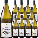 12本セット エモーション ブルゴーニュ ブラン 2020 (ヴァンサン ジラルダン) Emotion Bourgogne Blanc (Domaine Vincent Girardin) フランス ブルゴーニュ 白 750ml×12本