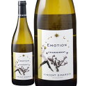 エモーション ブルゴーニュ ブラン 2020 (ヴァンサン ジラルダン) Emotion Bourgogne Blanc (Domaine Vincent Girardin) フランス ブルゴーニュ 白 辛口 750ml