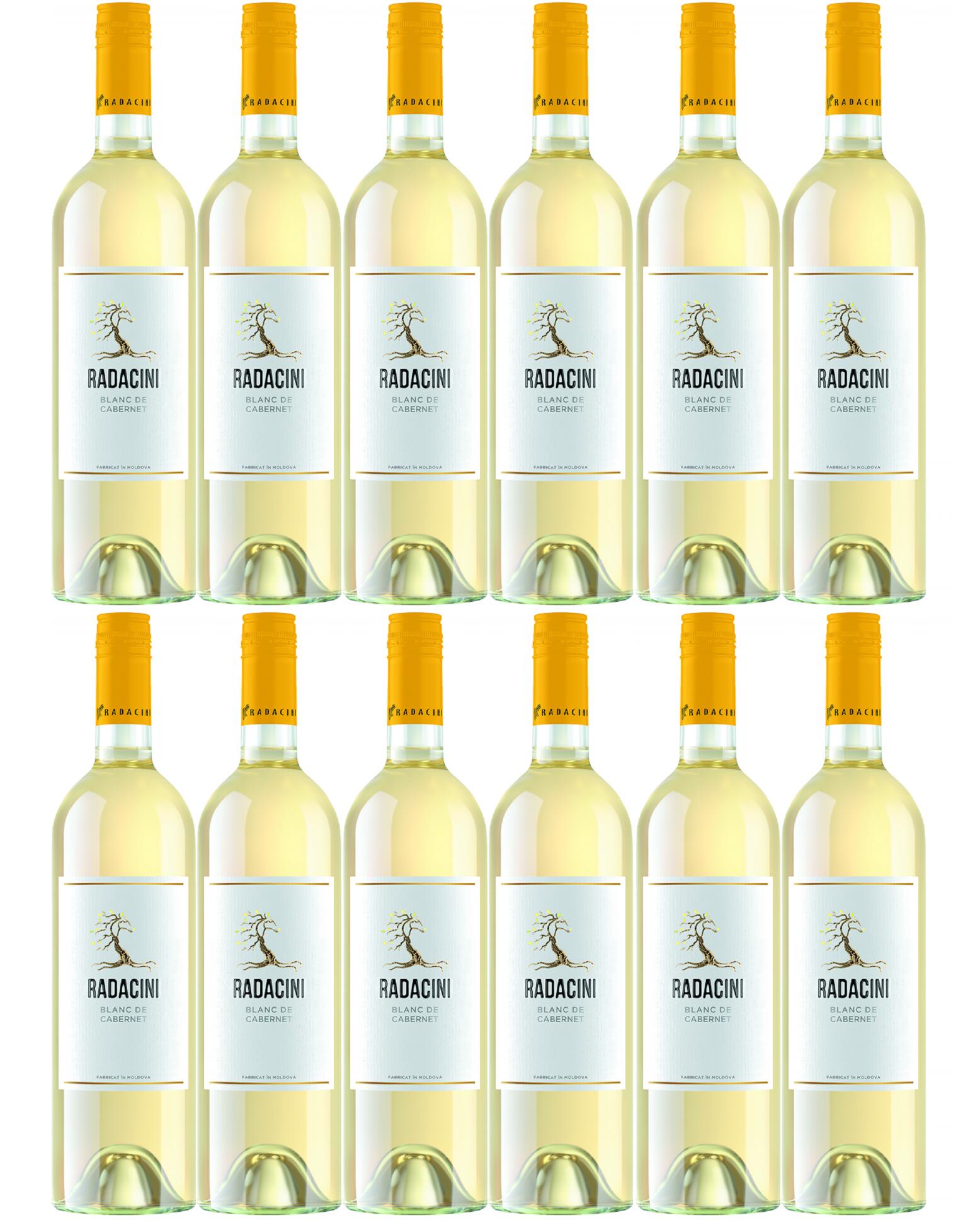 [12本セット] ラダチーニ・ブランド・カベルネ (ラダチーニ・ワインズ)　Radacini Blanc Cabernet (Radacini Wines)　モルドバ ステファン・ヴォーダ 白 辛口 750ml