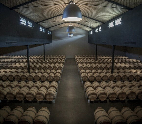 [12本セット] シャトー・パルメ・ヒストリカル・19th・センチュリー L.20.17 [NV] Chateau Palmer Historical XIX th Century Wine L.20.17 / フランス / ボルドー / オー・メドック / マルゴー / メドック第3級格付 / 赤 / フルボディ / 750ml donguriano-10026128 Donguriano Wine サンプル画像3