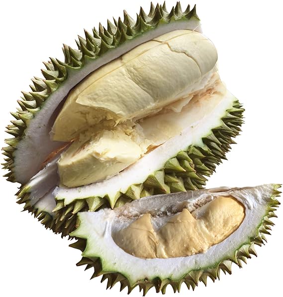 {毎週入荷｝ ベトナム産 ドリアン Lサイズ 1玉 1,8kg〜2.1kg 生鮮 生 生ドリアン 送料無料 durian RI6種 または モントーン種 など