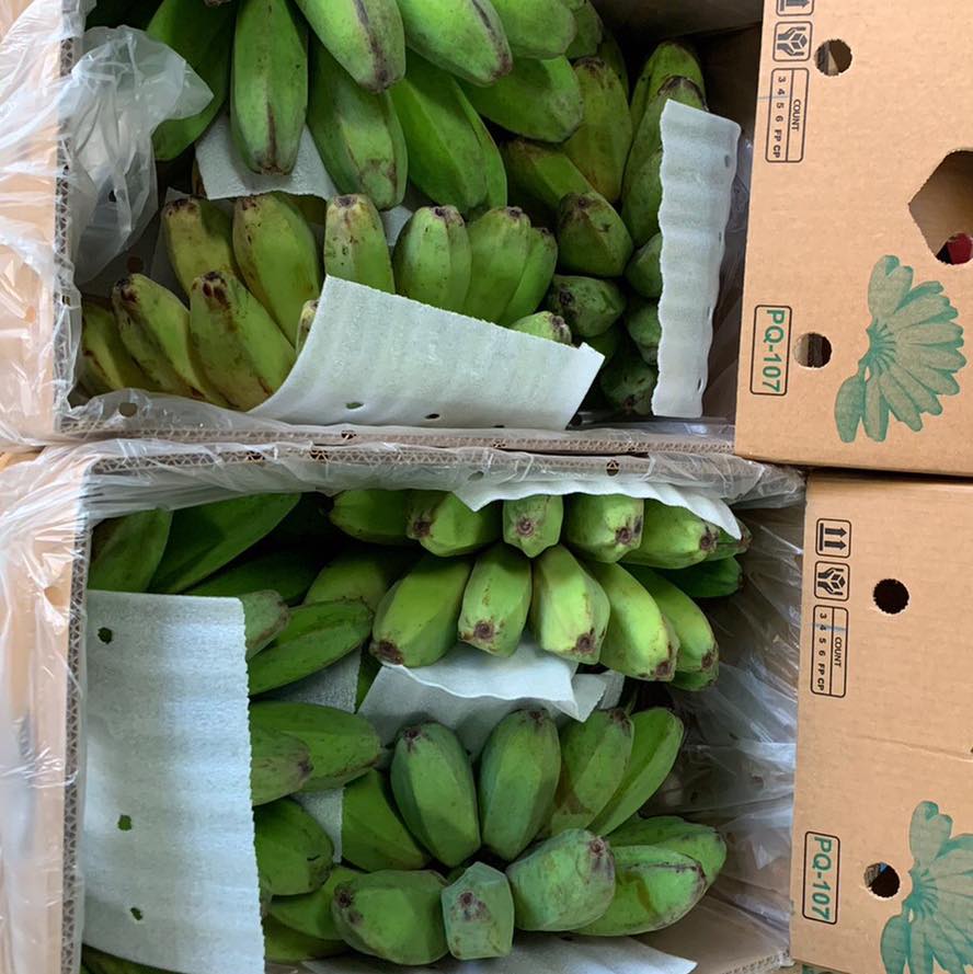 [130˺]Saba Banana Philippines 1Box(4Hor5H)