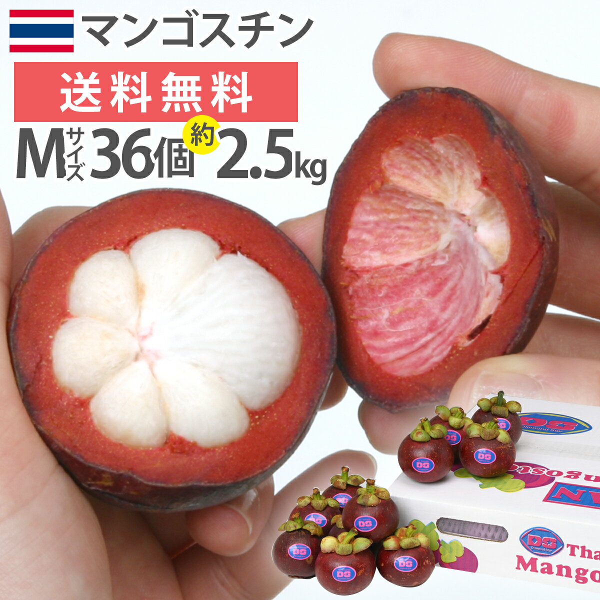 {轵١ѥ ޥ󥴥 ̵ M 36 3kg   եå Ť & ̣ ʪν Ȼ֤ ץߥ Ҷ ľ͢ ˫ mangosteen 