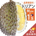 【入荷待ち】　 フィリピン産 ドリアン Mサイズ 1玉 約1.1〜kg 生鮮 生 生ドリアン 送料無 ...