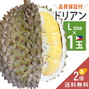 [12月13日入荷予定、入荷次第出荷] フィリピン産 ドリアン Lサイズ 1玉 1.7kg〜 生鮮  ...