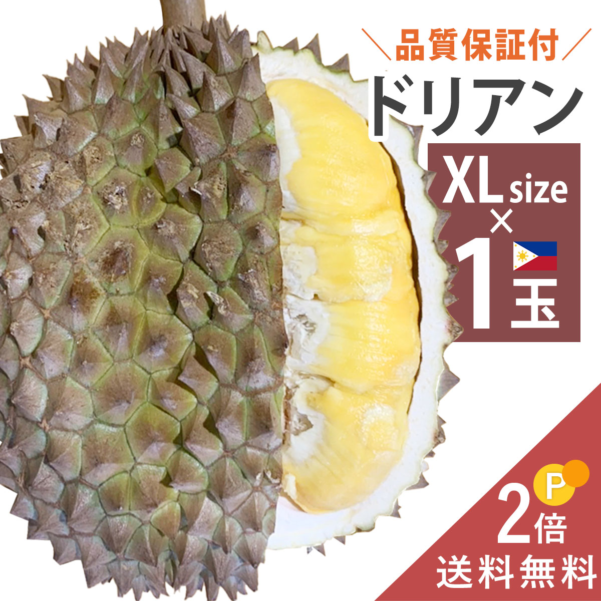 [12月13日入荷予定、入荷次第出荷] フィリピン産 ドリアン XLサイズ 1玉 〜2.5kg 生鮮 ...