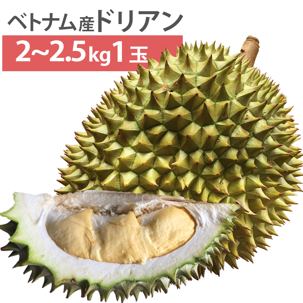 【5月7日以降入荷予定】 ベトナム産 ドリアン Lサイズ 1玉 2kg〜2.5kg 生鮮 生 生ドリアン 送料無料 durian RI6種 または モントーン種 など