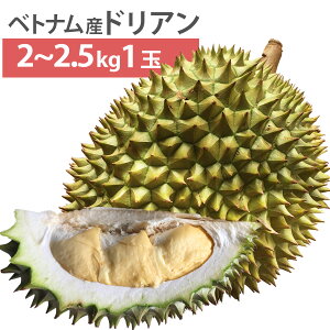 【5月7日以降入荷予定】 ベトナム産 ドリアン Lサイズ 1玉 2kg〜2.5kg 生鮮 生 生ドリアン 送料無料 durian RI6種 または モントーン種 など