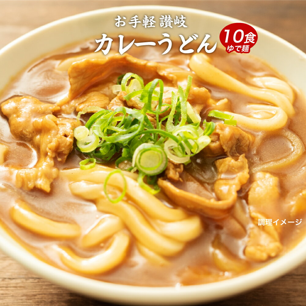 お手軽 讃岐のカレーうどん10食 讃岐うどん 送料無料 （北海道・沖縄・離島+1500円） ご当地セット 産直 福袋 得トクセール 贈答 あす楽対応 食品 グルメ 食べ物 母の日 プレゼント ギフト 母の日思いの 健康 実用的 父の日 父の日思いの