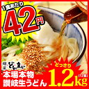 【送料無料】本場讃岐うどん製麺工場直送!1食あたり42円 讃...