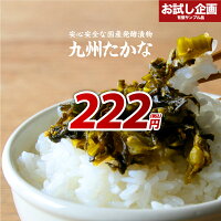 送料無料 九州高菜 150g×1袋 ポイント消化 送料無 わけあり ポイント消化送料無料 ポイント消費 送料無料 ご飯のお供 ふりかけ 漬物 食品 お試し 国産 ギフト お取り寄せ グルメ 訳あり