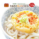 天ぷら一丁10食 天ぷらうどん 讃岐うどん 送料無料 （北海道・沖縄・離島+1500円） ご当地セット 産直 福袋　ポイン…