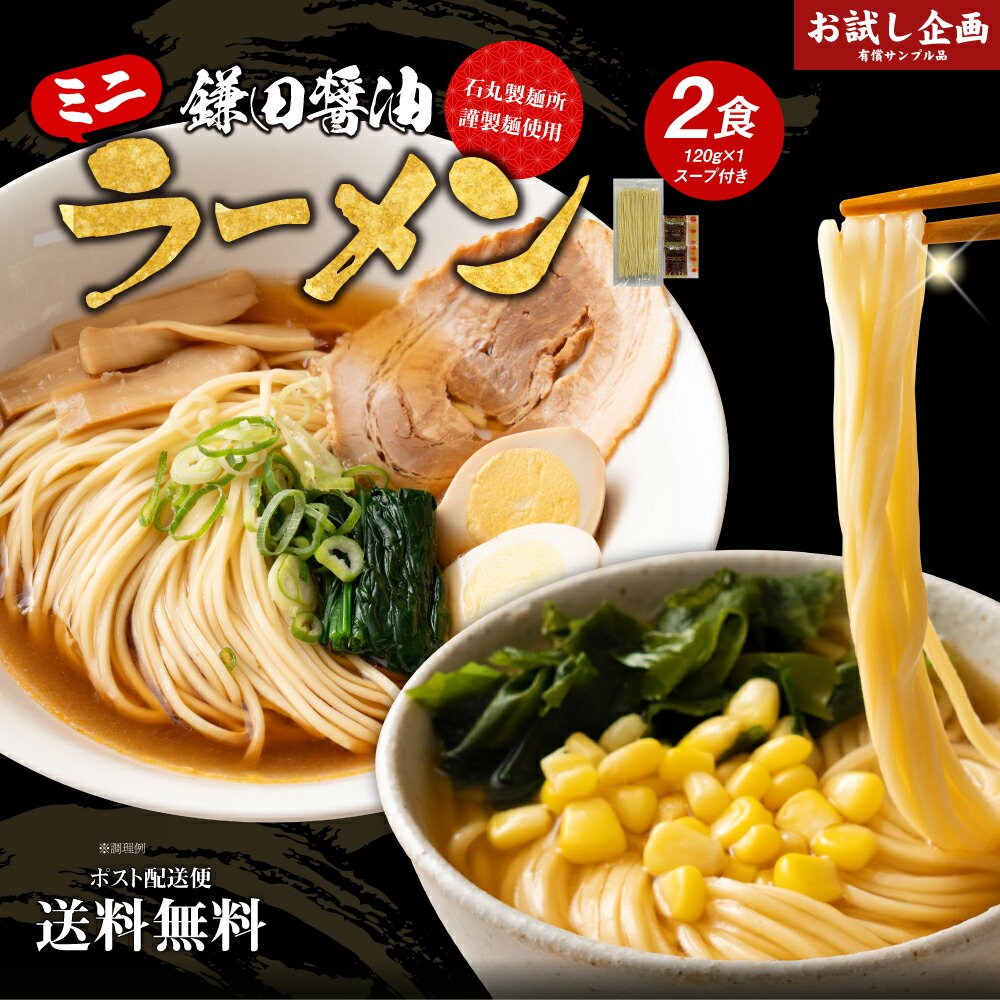 送料無料 石丸製麺所 ミニラーメン2食 屋台醤油スープ付 鎌田醤油スープ+調味油付き 乾麺 めん 本格 お徳用 お得 業務用 食品 グルメ 食べ物 香川 讃岐 さぬき 包丁切り メール便