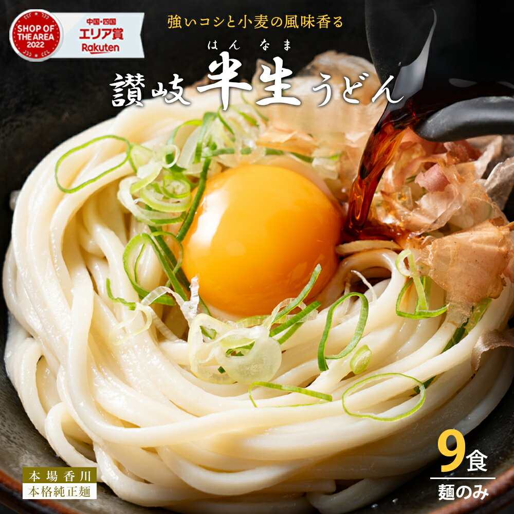 【大型セール準備中！！】送料無料 半生うどん 9食 （300g×3）麺のみ 讃岐うどん ポイント利用 お試し ポイント消化 …