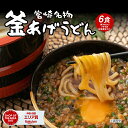 送料無料 宮崎釜あげうどん 6食((麺300g×1、つゆ40g×3、乾燥薬味3袋)×2袋) 食品 ポイント消化 ご当地グルメ 産直 お試し 取り寄せ うどん 食品 ポイント消化 ご当地グルメ 産直 お試し 取り寄せ ご当地 宮崎 釜あげうどん