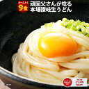 【期間限定1,000円さらにポイント20倍】送料無料 頑固父さんが唸る讃岐生うどん9食セット (麺300g×3袋 ) うどん 讃岐うどん 香川県 産地直送 お試し ポイント消化 在庫処分 フード ポイント消費 おすすめ グルメ 食品 ポスト投函