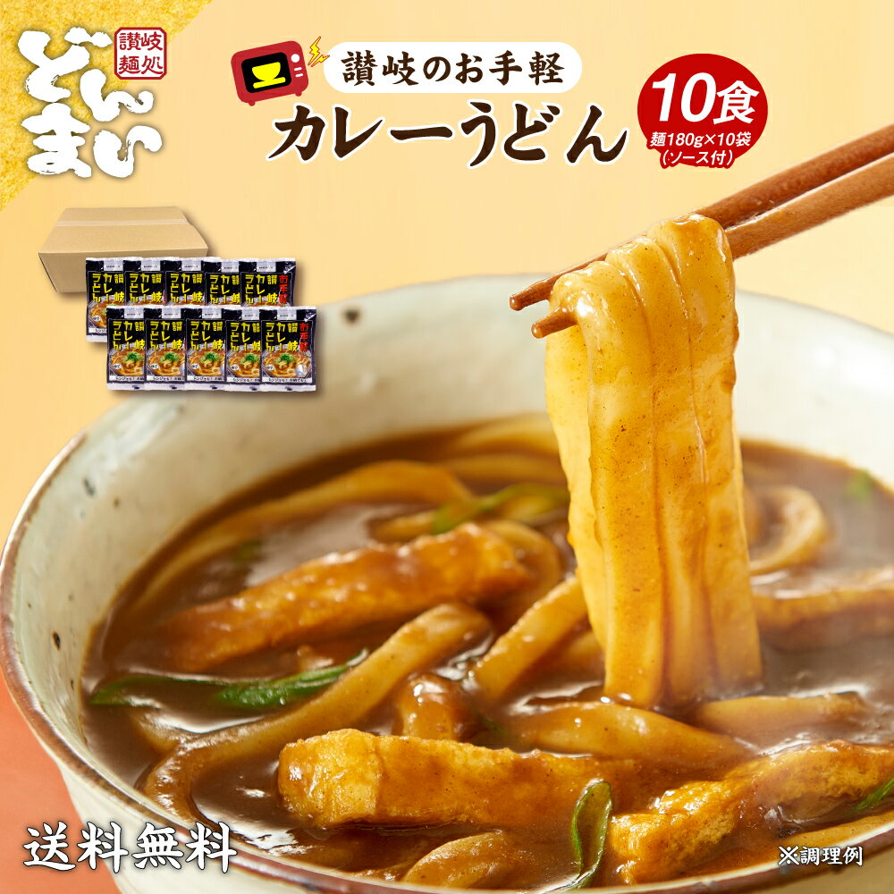 お手軽 讃岐のカレーうどん10食 讃岐うどん 送料無料 （北海道・沖縄・離島+1500円） ご当地セット 産直 福袋 得トクセール 贈答 食品 グルメ プレゼント ギフト ギフトセット ポイント消化 送料無 一人暮らし 父の日 お中元 宅配便