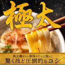 【1,000円さらにポイント20倍】送料無料 頑固父さんが唸る讃岐生うどん9食セット 【極太麺】 (麺300g×3袋 ) 麺のみ 香川県 産地直送 お試し ポイント消化 送料無 お取り寄せ 在庫処分 フード おすすめ グルメ食品 人気 ポスト投函 ポイント利用 2