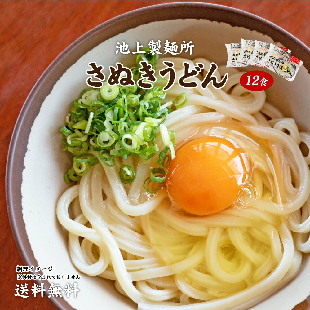 麺屋どんまい 送料無料 食品 グルメ 食べ物 プレゼント ギフト ギフト...