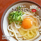 【期間限定ポイント20倍】池上製麺所の釜玉うどん12食 送料無料 （北海道・沖縄・離島+1500円） ご当地セット 産直 福袋 食品 グルメ 食べ物 プレゼント ギフト ギフトセット お中元 御中元 中元 女性 男性 一人暮らし ポイント消化 送料無