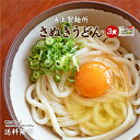 送料無料 池上製麺所特製 釜玉うどん 3食 ポイント消化 お試し 期間固定 ポイント消化 うどん 讃岐うどん うどん 食…