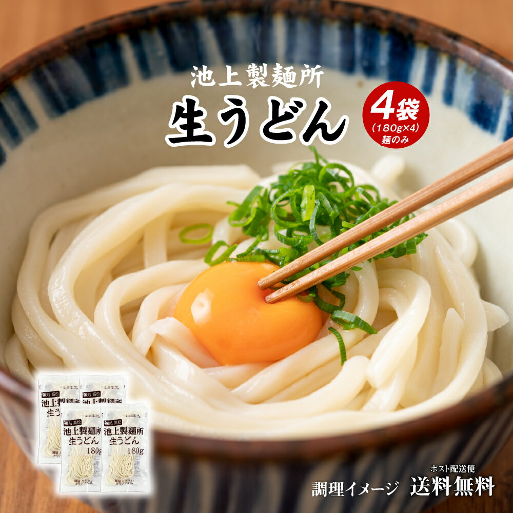 【9/4 20時開始クーポン】 送料無料 池上製麺所 生うどん 180g×4袋 大盛り1人前 小盛り2人前 ポイント消化 送料無 ポイント消費 讃岐うどん うどん ポイント消化 ご当地 美味しい グルメ お取り寄せ 食品 グルメ 香川 産直のサムネイル