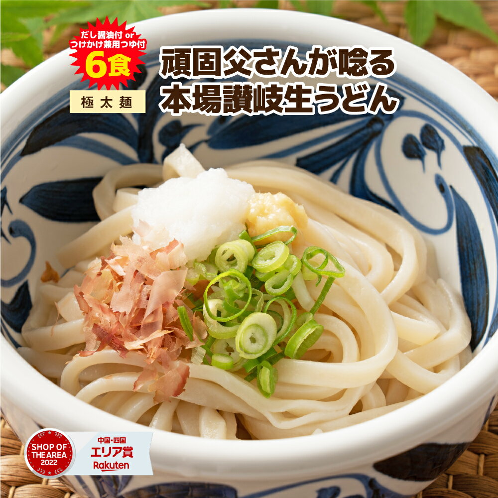 【1,000円ぽっきり！さらにポイント20倍】送料無料 本場生讃岐うどん 専用醤油付セットorつけかけ兼用つゆ付セット【極太麺】 6人前 (300g×2袋) 送料無料 讃岐うどん 生うどん しょうゆうどん だし醤油 鎌田醤油 生麺 人気ポイント利用 ポイント消化 送料無