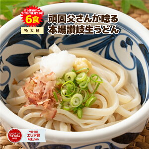 【期間限定ポイント5倍】1000円ポッキリ 送料無料 うどん 本場生讃岐うどん 専用醤油付セットorつけかけ兼用つゆ付セット【極太麺】 6人前 (300g×2袋) 送料無料 讃岐うどん 生うどん しょうゆうどん だし醤油 鎌田醤油 生麺 人気ポイント利用 ポイント消化 送料無
