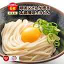 【期間限定1,000円さらにポイント20倍】送料無料 本場生讃岐うどん 専用醤油付セットorつけかけ兼用つゆ付セット 6人前 (300g×2袋) 送料無料 讃岐うどん 生うどん しょうゆうどん 手土産 お土産 鎌田だし醤油 鎌田醤油 めんつゆ 出汁 ポイント利用 ポイント消化 送料無