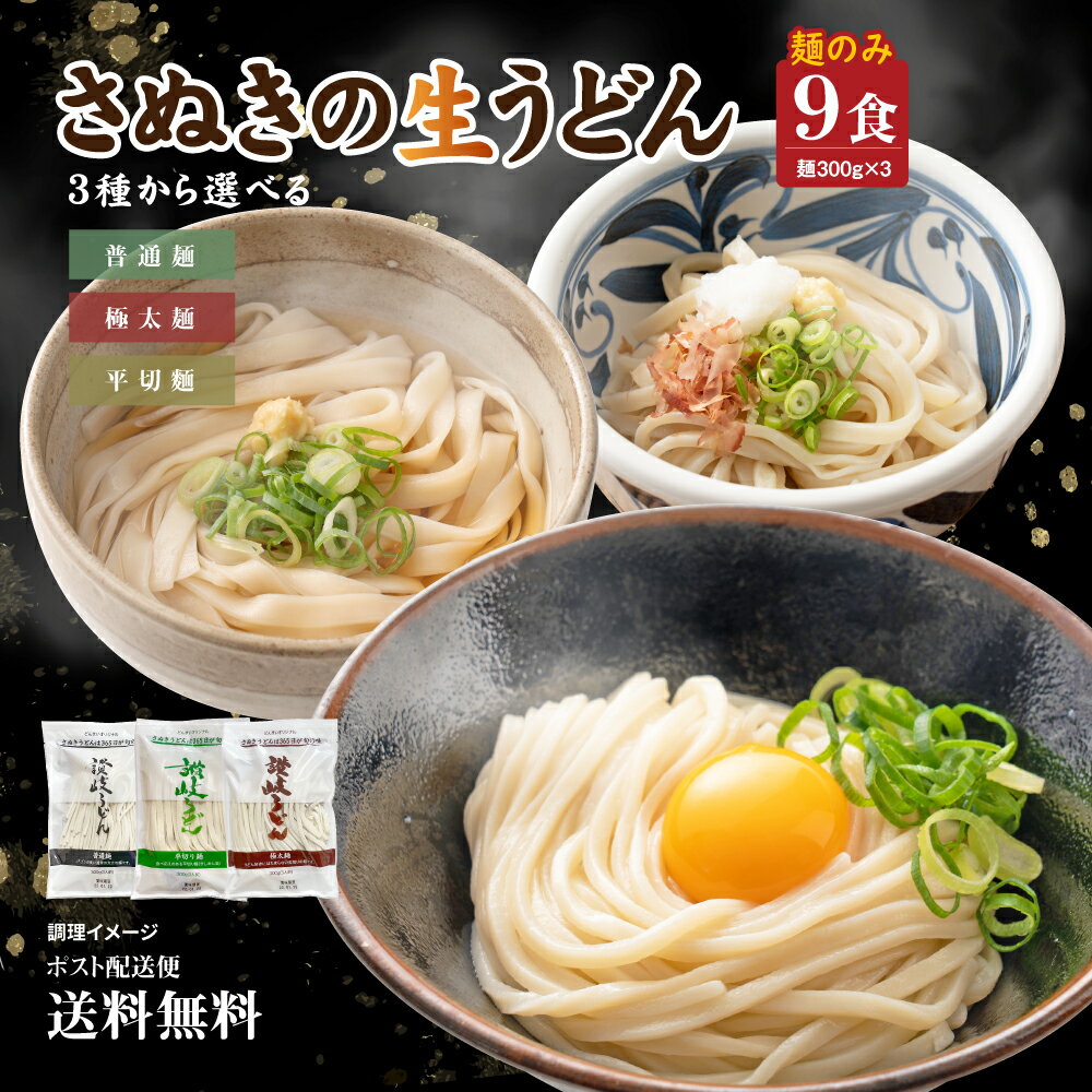 【1,000円さらにポイント20倍】送料無料 頑固父さんが唸る讃岐生うどん9食セット (麺300g×3袋 ) うどん 讃岐うどん …