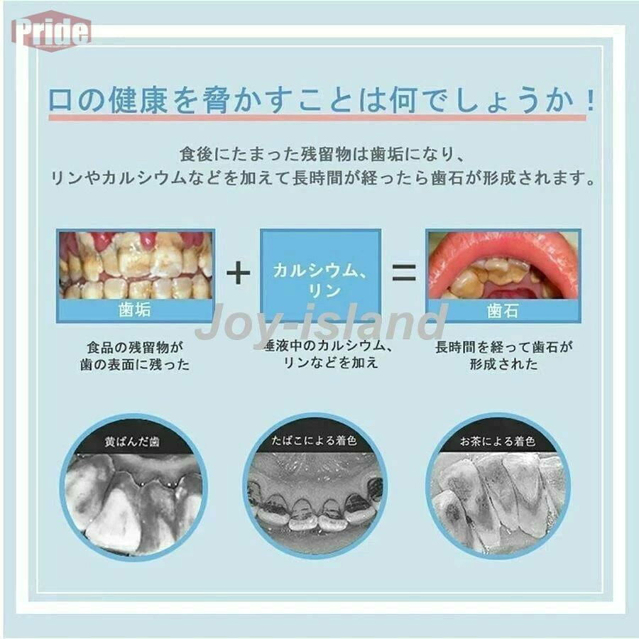 電動歯ブラシ 口腔洗浄機 口腔ケア美容器 口洗浄