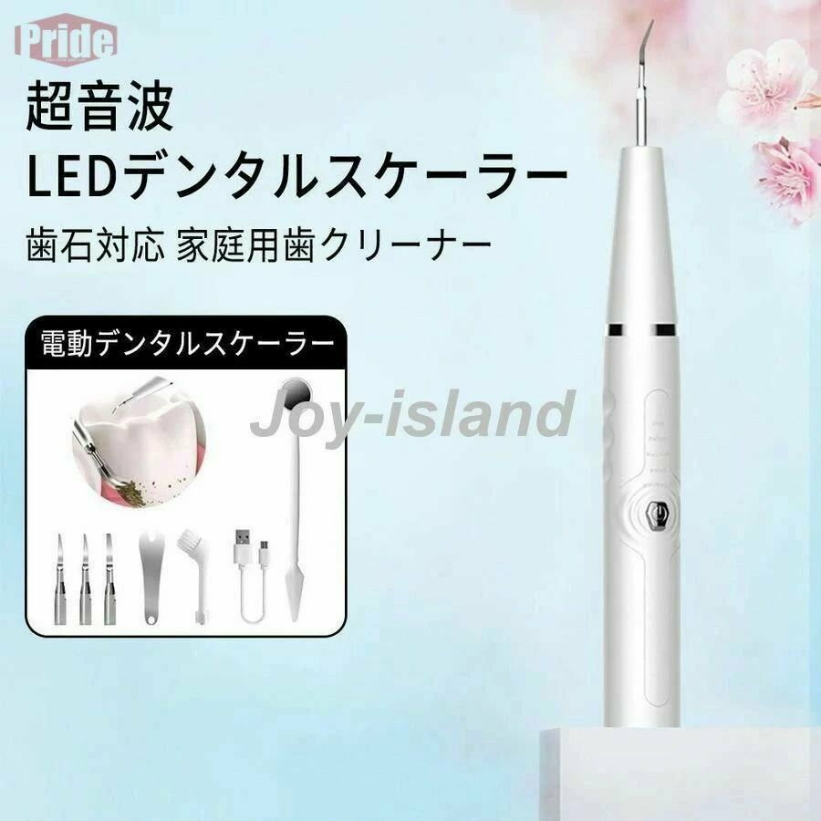 口腔洗浄機 電動歯ブラシ 口腔ケア美容器 口洗浄