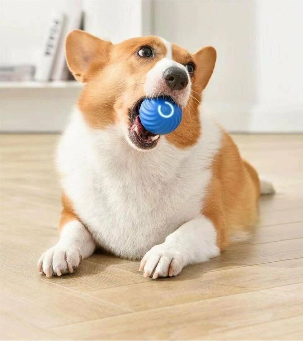 自動動き 犬おもちゃ 揺れ 光るボール ボール 電動ボール ゴム Cheerble 自動