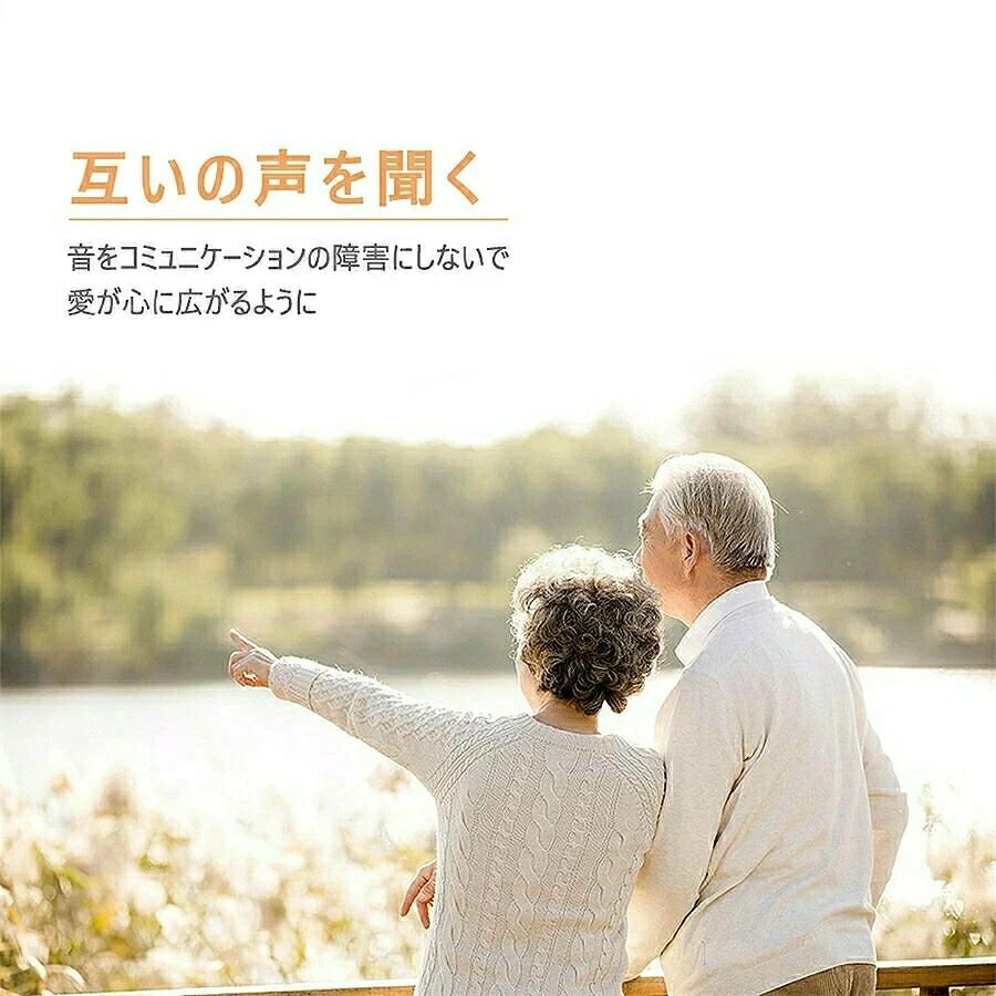 コンパクト 小型 充電式 敬老の日 おじいちゃん 左右両耳用 ハウ おばあちゃん 耳...