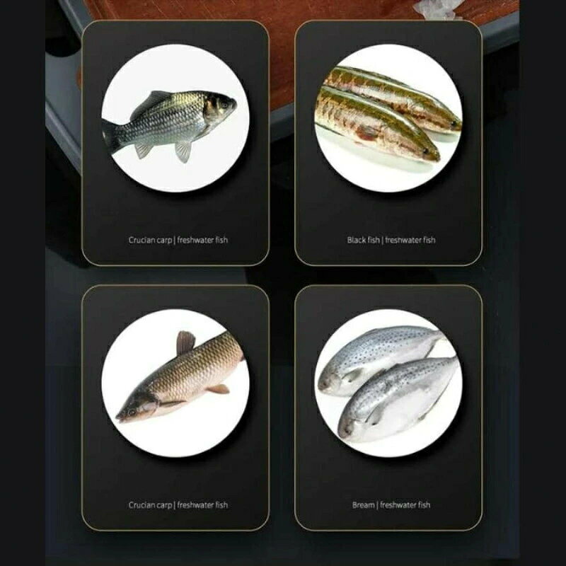どんすずのコードレス 水洗い可 面刃 ステンレス 6 キッチンツール 魚さばき 高速除去 USB 家庭・お店用 125W 充電式｜アングル2