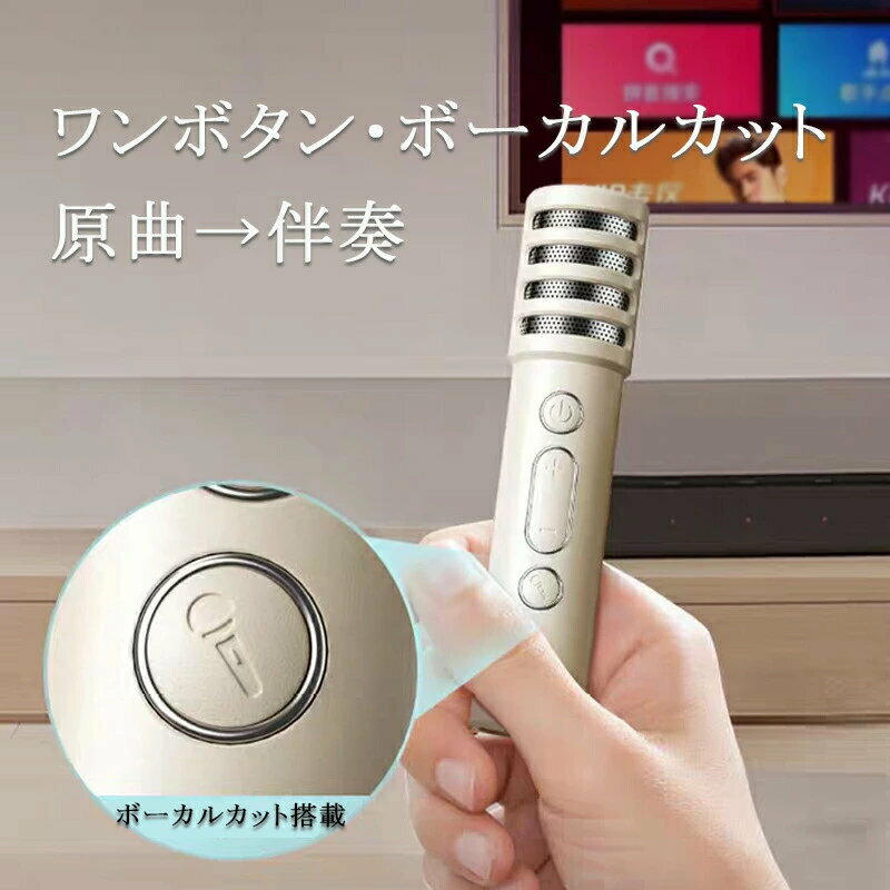 自宅で手軽に本格カラオケコンパクトサイズながら、迫力ある大音量を実現。室内アウトドア問わず、音割れしにくいクリアでバランスの取れたステレオサウンドをお楽しみいただけます。高感度ワイヤレスマイク2本付きで、ご自宅でも気軽にカラオケが可能です。雰囲気を盛り上げるライト演出4種類のライティング効果を切り替え可能。歌うだけで空間が華やかに変わり、パーティー気分を演出します。ホームパーティー忘年会新年会二次会文化祭学園祭にもおすすめ。3つの接続方法に対応Bluetooth 5.0：低遅延安定接続、最大約15m（iPhone / Androidなど対応）Micro SDカード：Bluetooth不要、挿すだけ再生AUX接続：Bluetooth非対応機器も使用可AUXケーブル別売多彩なボイスチェンジ機能女性声子供声男性声デビル声など5種類の音声エフェクトを搭載。音量調整も自由自在で、大人から子どもまで楽しめます。ボーカル除去／再生機能付きで、カラオケ練習にも最適。最大約12時間連続再生持ち運びしやすいコンパクト設計。大容量バッテリー内蔵で、1回の充電で最大約12時間使用可能。