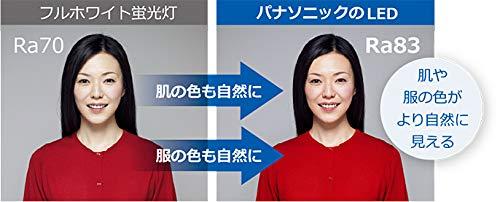 パナソニック LED 流し元灯 キレイコート搭載 壁面取付 昼白色 HH-SF0044N