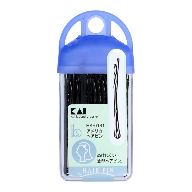 乐天商城 - 貝印 アメリカヘアピン 約40g