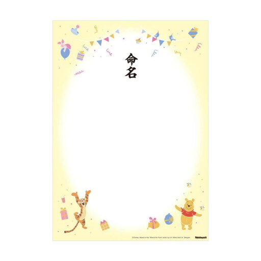 ナカバヤシ 命名紙 ナカバヤシ 命名紙