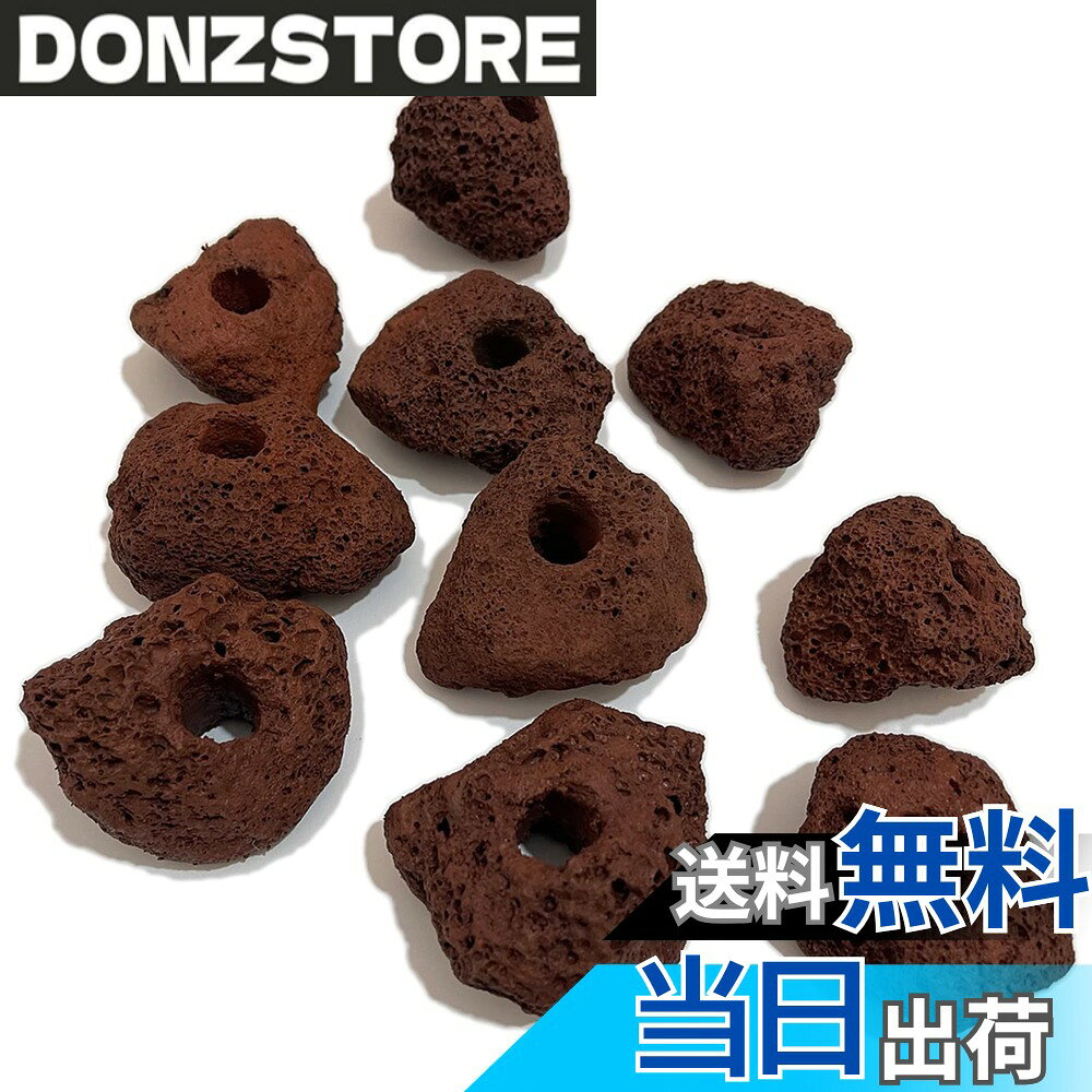 【送料無料】S-NET 溶岩 石 火山 岩 水槽 穴あき オブジェ 10個 セット アクアリウム 飾 ...