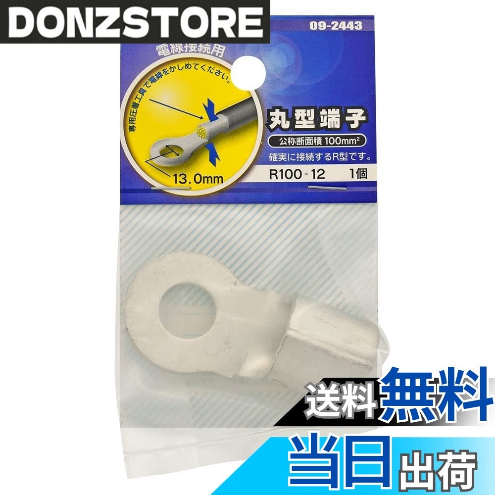 【送料無料】オーム電機 丸型端子 R100-12 1個入 DZ-R100-12/A1 09-2443 OHM
