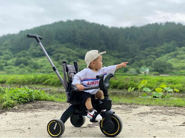 リキトライク グレイハウンド 世界最小 折りたたみ 三輪車 10ヶ月〜3歳 セカンドベビーカー 成長に合わせて 変形 1歳のお誕生日 プレゼント liki trike