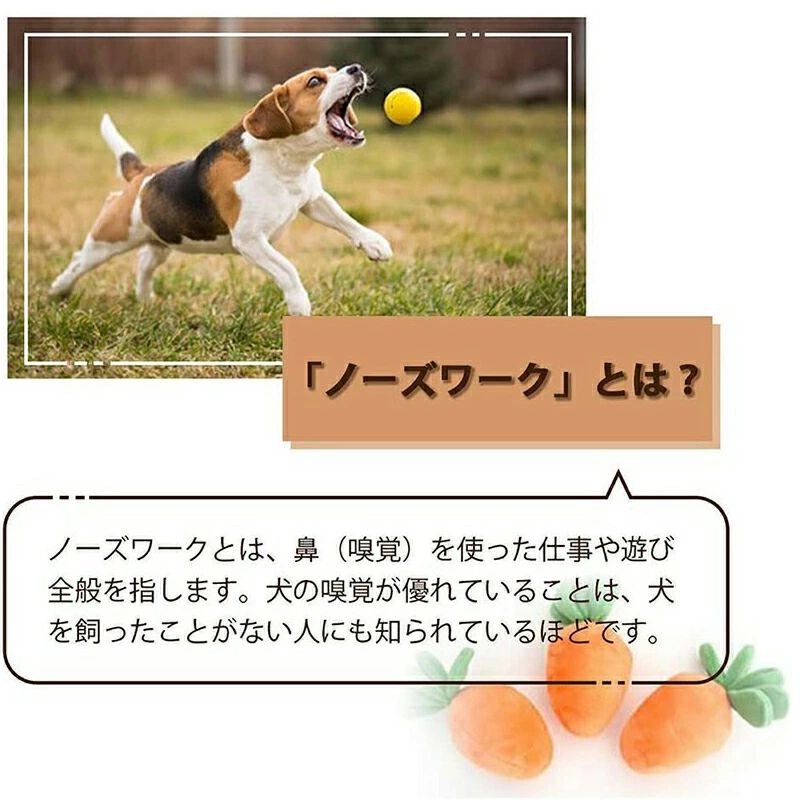 ＼＼送料無料／／ 嗅覚訓練 運動不足 プレゼント おやつ隠し 人参8個 ストレス解消 人参 ノーズワーク 知育玩具 遊び 記念品 おもちゃ にんじん畑 ぬいぐるみ ギフト 贈答品 贈り物 ペット 2
