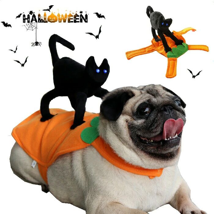 撮影道具 猫 コスチューム ハロウィン仮装 小型犬用 オシャレ 犬用服 猫 仮装 変身グッズ ハロウィン ペット服 可愛い 猫変身 ペット コスチューム 犬服 ペット ファッション 中小型犬 ペットコスプレ ハロウィン 猫服 被り物 着せやすい 犬変身 猫服 コスプレ衣装 コスプレ